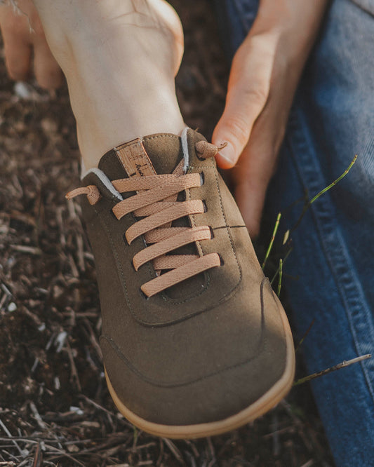 FENIX BOSQUE PREVENTA