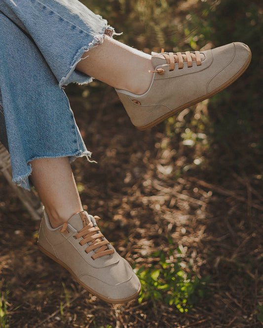 FENIX ARENA PREVENTA