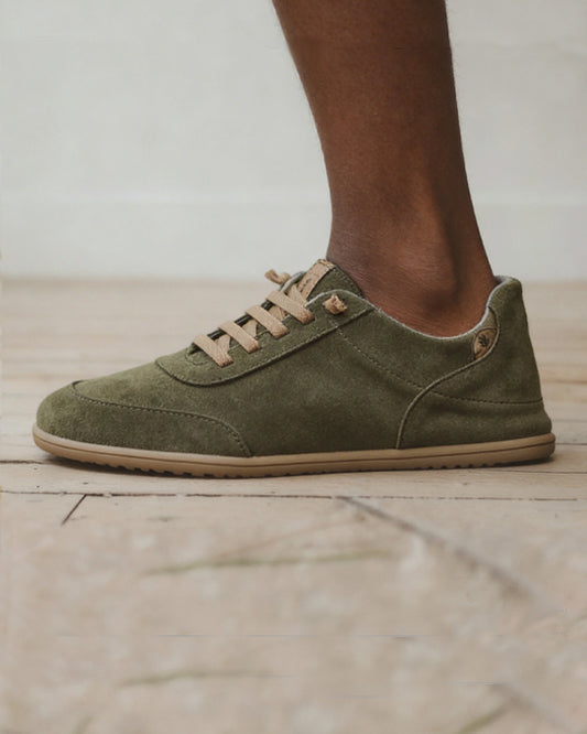 FENIX BOSQUE PREVENTA