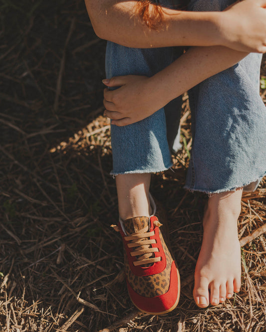 FENIX SALVAJE PREVENTA