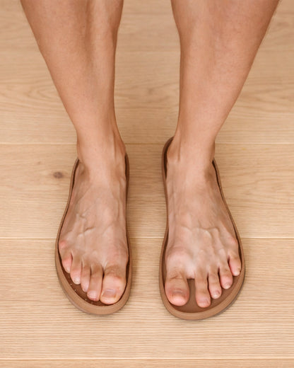 FENIX SALVAJE PREVENTA